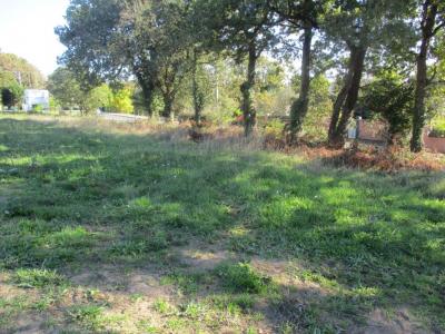 Acheter Terrain Vaire 75900 euros