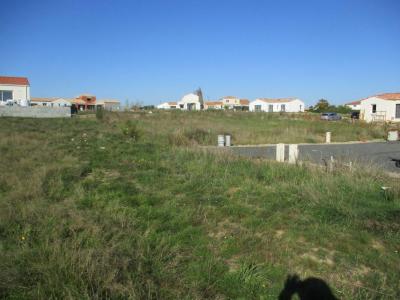 Annonce Vente Terrain Brem-sur-mer 85