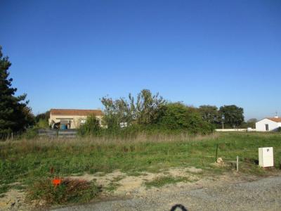 Acheter Terrain Sainte-foy Vendee