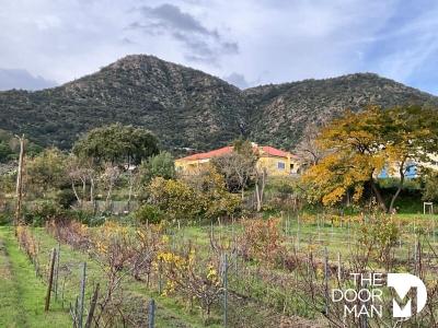 For sale Lavandou 21 rooms 850 m2 Var (83980) photo 0