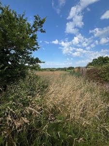 For sale 6 rooms 125 m2 Finistere (29770) photo 0