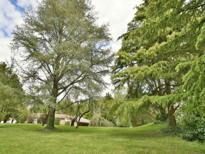 Annonce Vente 10 pices Maison  49