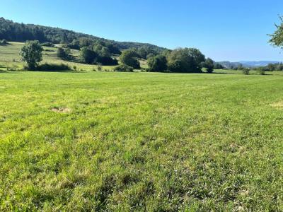 Acheter Maison Vosbles Jura