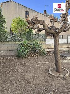 Annonce Vente 4 pices Appartement Narbonne 11