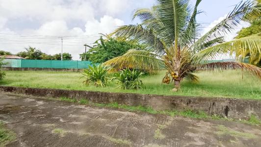 For sale Lamentin 5 rooms 174 m2 Martinique (97232) photo 4