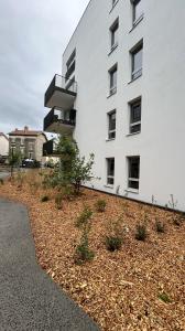 For rent Clermont-ferrand 2 rooms 44 m2 Puy de dome (63100) photo 0