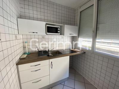 Louer Appartement Grenoble Isere