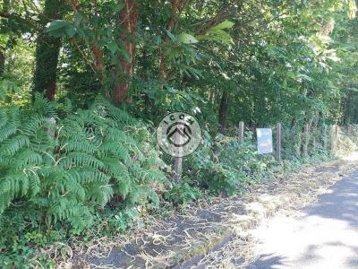 For sale Coulounieix-chamiers 4033 m2 Dordogne (24660) photo 1