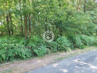 For sale Coulounieix-chamiers 4033 m2 Dordogne (24660) photo 2