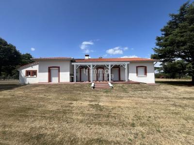 Annonce Vente 6 pices Maison Saint-plancard 31