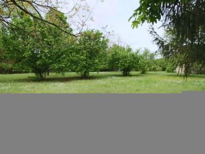 For sale Lot (46700) photo 3