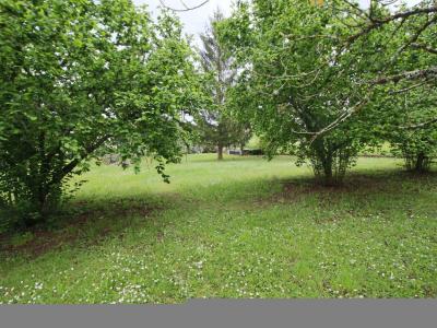 For sale Lot (46700) photo 4