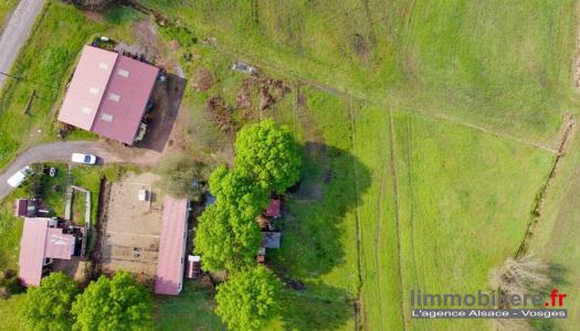 Annonce Vente 3 pices Maison Wisembach 88