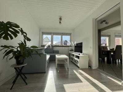 Acheter Maison Ingenheim Bas rhin