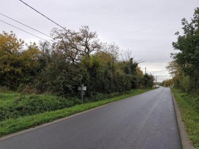 For sale Blanc 4948 m2 Indre (36300) photo 0