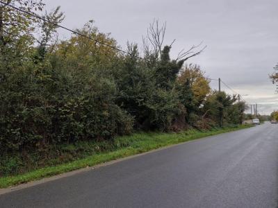 Annonce Vente Terrain Blanc 36
