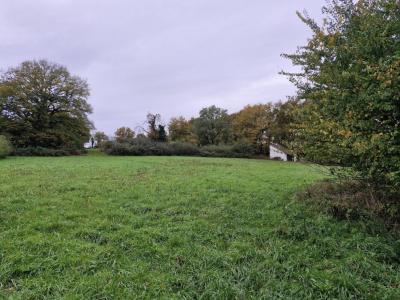 Acheter Terrain 4948 m2 Blanc