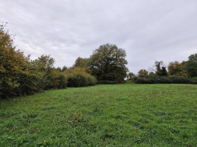 Acheter Terrain Blanc Indre
