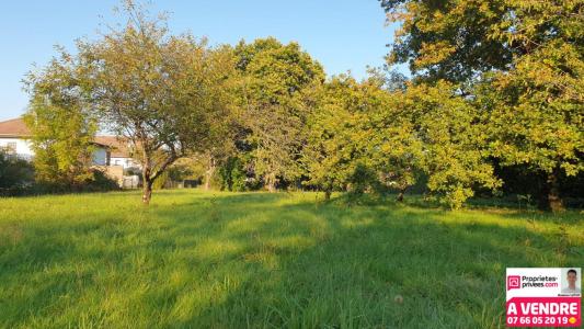 For sale Denney 1450 m2 Belfort (90160) photo 2