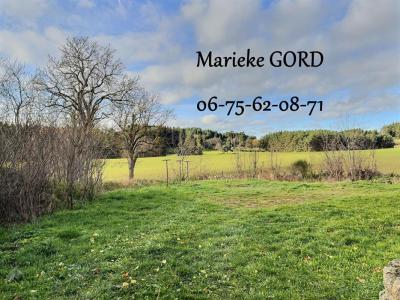 For sale Usson-en-forez 9 rooms 248 m2 Loire (42550) photo 1