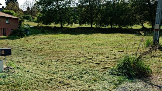 Acheter Terrain 1000 m2 Massignieu-de-rives