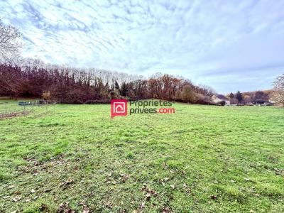 For sale Cinais 5221 m2 Indre et loire (37500) photo 0