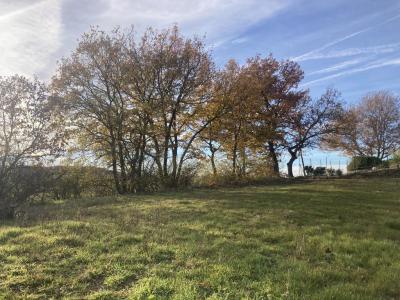 Annonce Vente Terrain Isle-jourdain 32