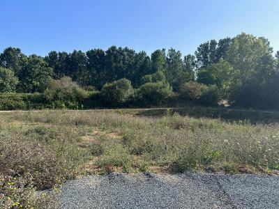 For sale Vaux-sur-mer 480 m2 Charente maritime (17640) photo 0