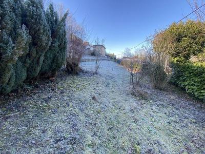 Acheter Maison Panissieres Loire