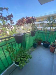 For rent Chilly-mazarin 2 rooms 41 m2 Essonne (91380) photo 0