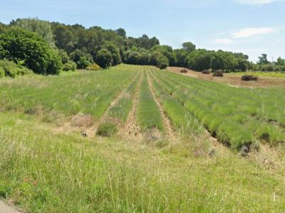 For sale Bollene 520 m2 Vaucluse (84500) photo 0