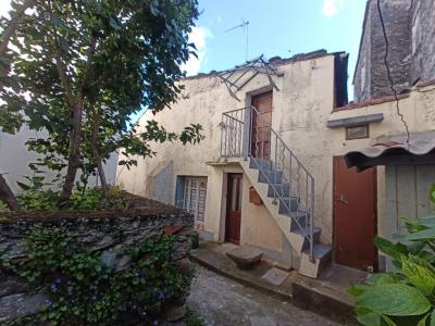 Annonce Vente 4 pices Maison Saint-pons-de-thomieres 34