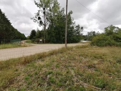 Acheter Terrain Saint-benoit-sur-loire 27498 euros