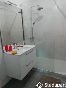 Louer Appartement Rennes 530 euros