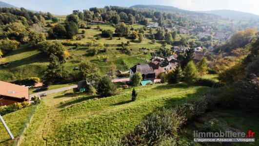 Annonce Vente Terrain Wildersbach 67