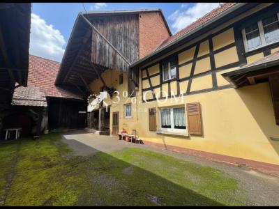 Acheter Maison Ingenheim Bas rhin