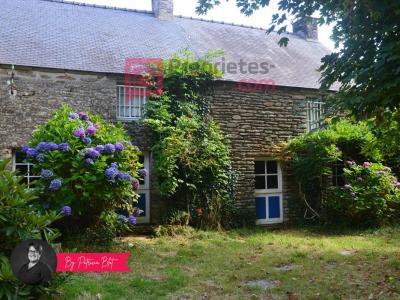 Annonce Vente 4 pices Maison Saint-grave 56