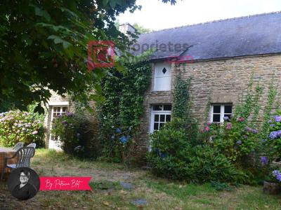 Acheter Maison 250 m2 Saint-grave