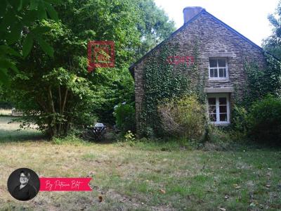 Acheter Maison Saint-grave Morbihan