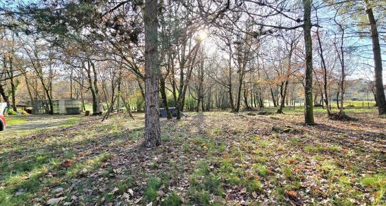 Annonce Vente 5 pices Maison Saint-astier 24