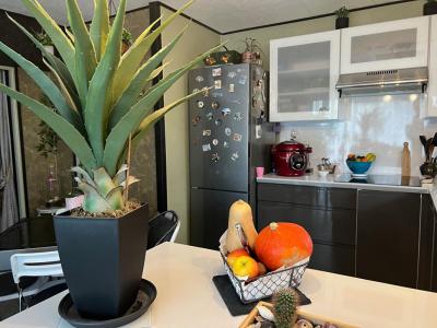 Acheter Appartement Sete 129000 euros