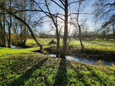 Acheter Maison Saint-jean-saint-germain Indre et loire