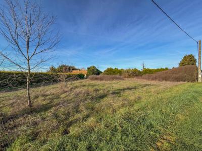 For sale Billy 1290 m2 Loir et cher (41130) photo 0