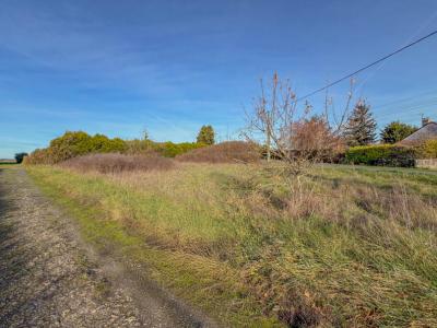 Annonce Vente Terrain Billy 41