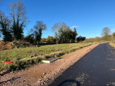 Annonce Vente Terrain Noron-l'abbaye 14