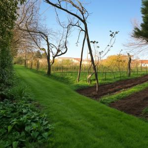 Annonce Vente 5 pices Maison Blanzat 63