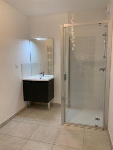 Louer Appartement 44 m2 Verpilliere