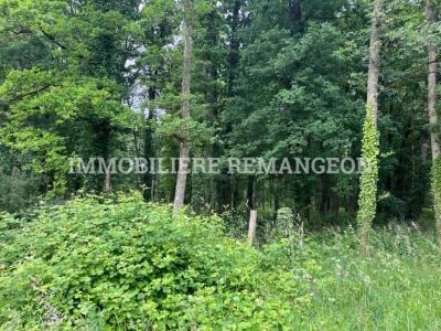 Acheter Maison Saint-viatre 55000 euros