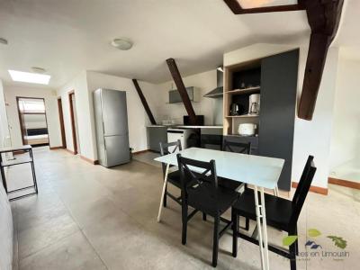 Annonce Location 3 pices Appartement Saint-leonard-de-noblat 87