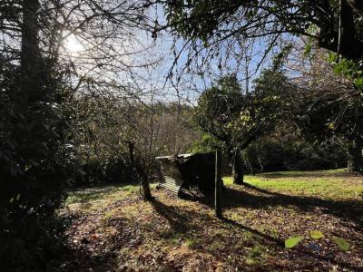 Acheter Maison Sauviat-sur-vige 71000 euros